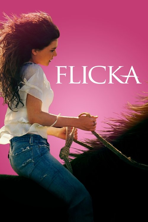 پوستر Flicka