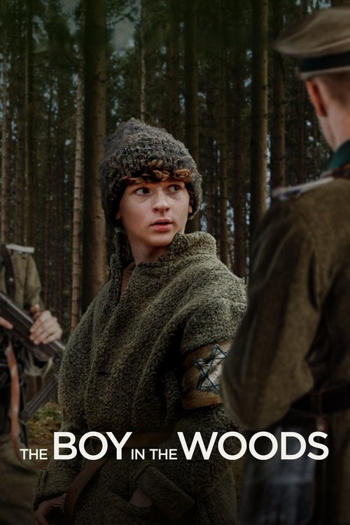 پوستر The Boy in the Woods