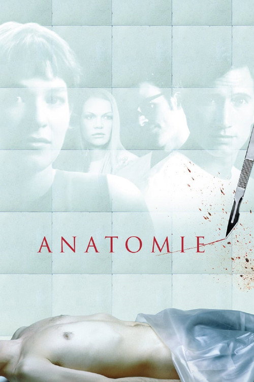 پوستر Anatomie