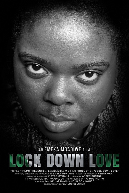 پوستر Lock Down Love