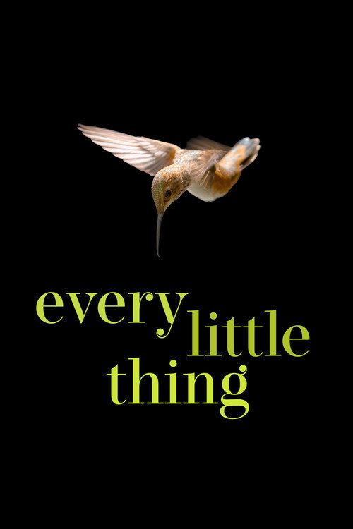 پوستر Every Little Thing