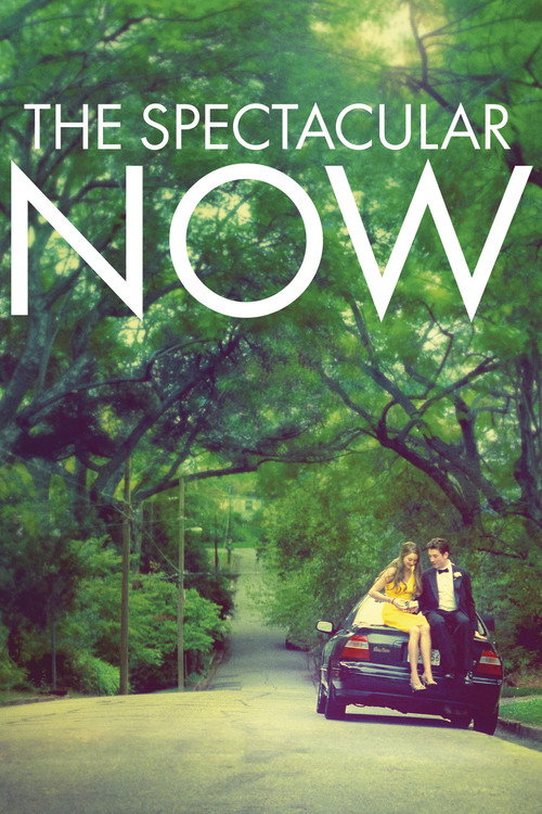 پوستر The Spectacular Now