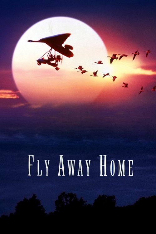 پوستر Fly Away Home