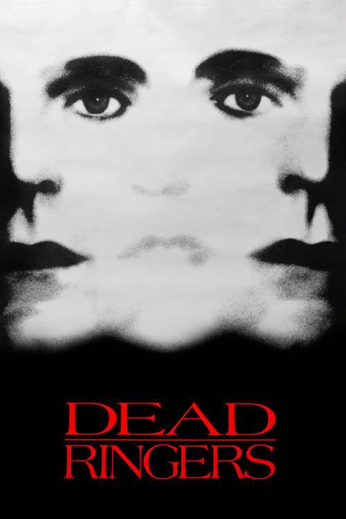 پوستر Dead Ringers