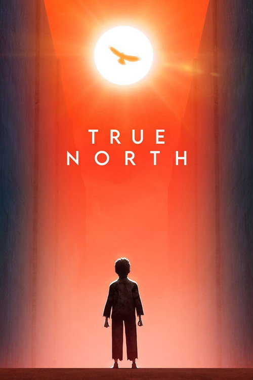 پوستر True North