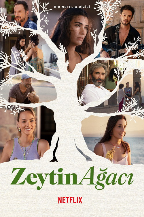 پوستر Zeytin Ağacı