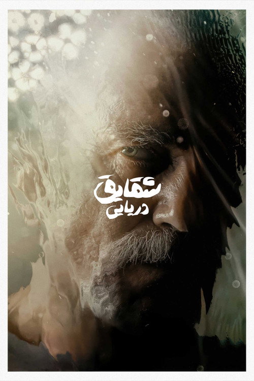 پوستر شقایق دریایی