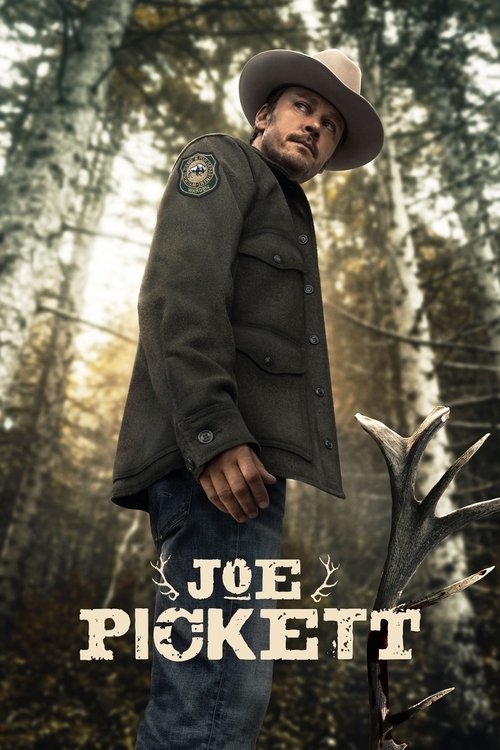 پوستر Joe Pickett