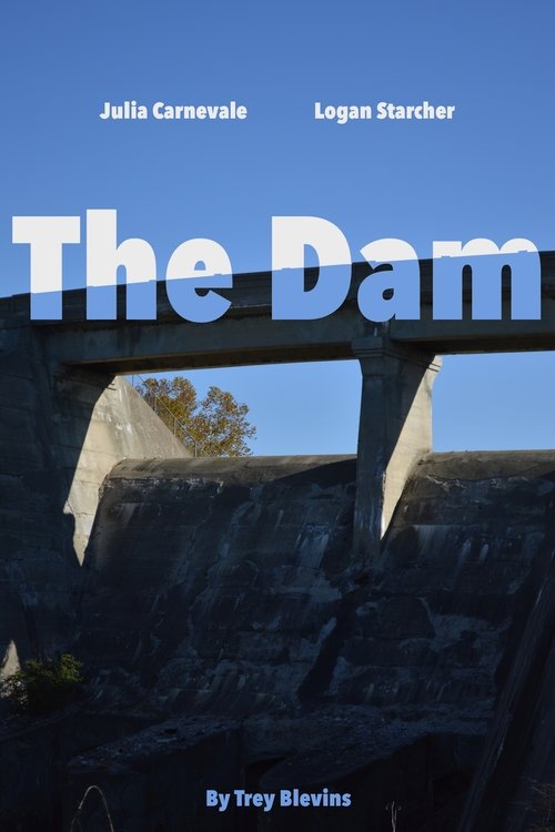پوستر The Dam