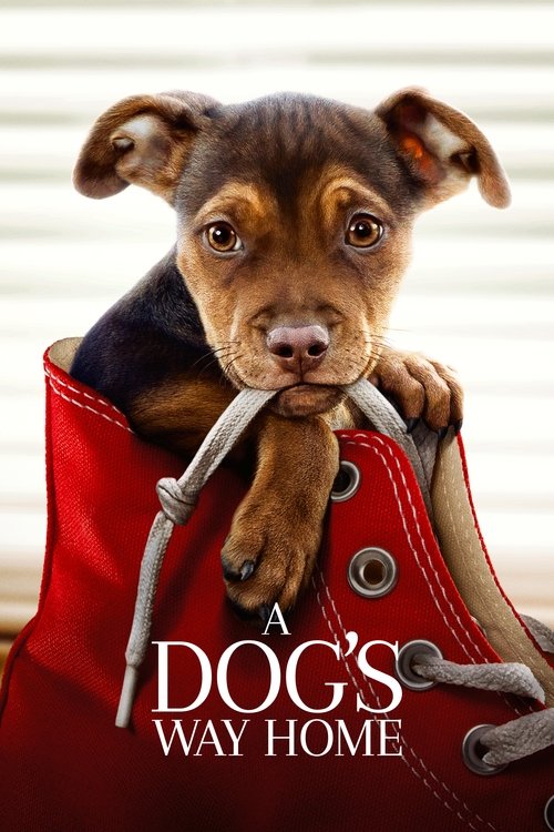پوستر A Dog's Way Home
