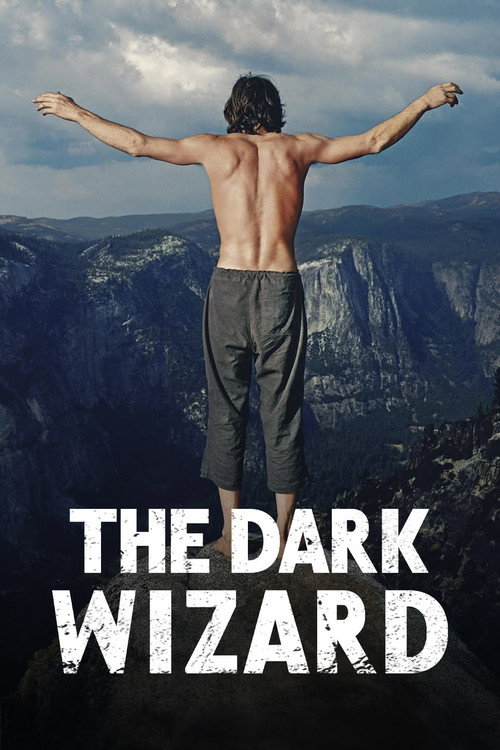 پوستر The Dark Wizard