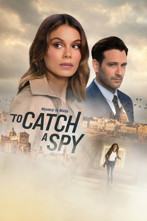 پوستر To Catch a Spy