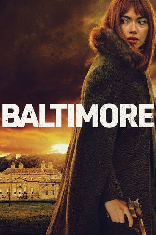 پوستر Baltimore