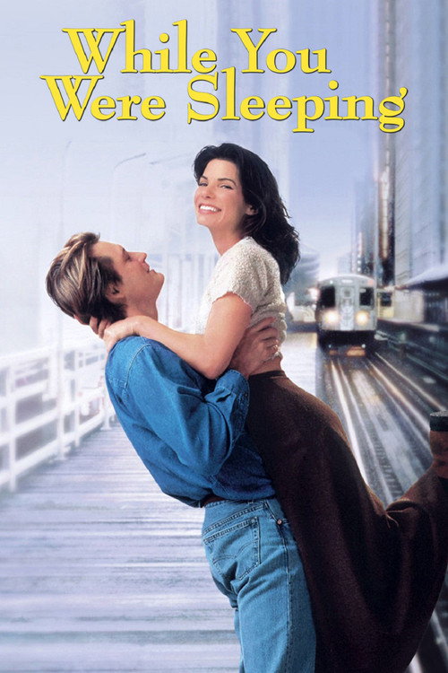 پوستر While You Were Sleeping