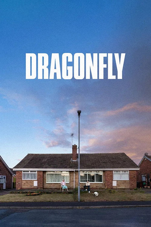 پوستر Dragonfly