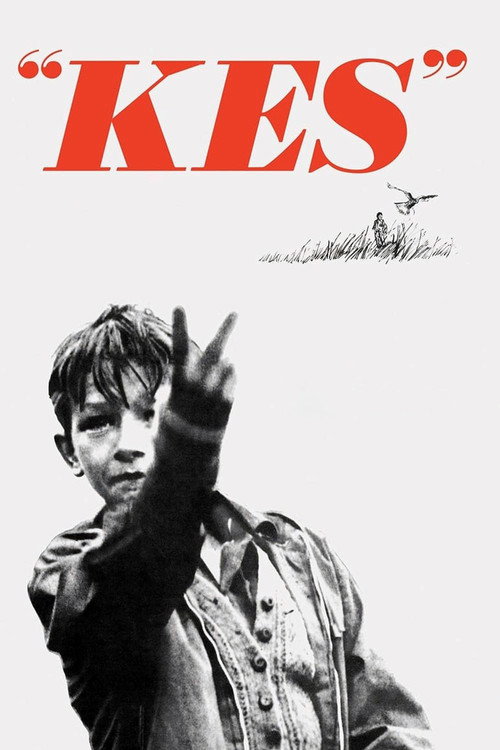 پوستر Kes