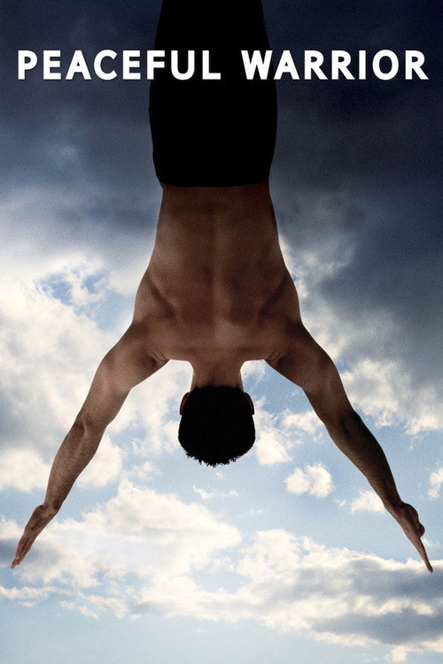 پوستر Peaceful Warrior