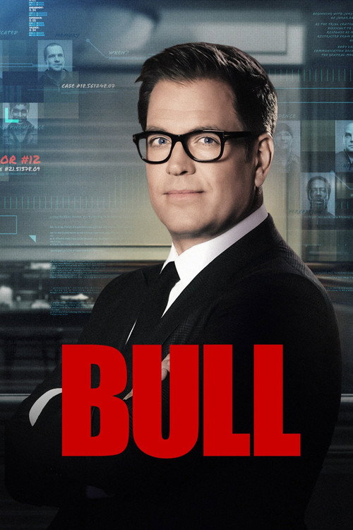 پوستر Bull