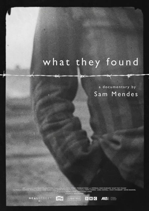 پوستر What They Found
