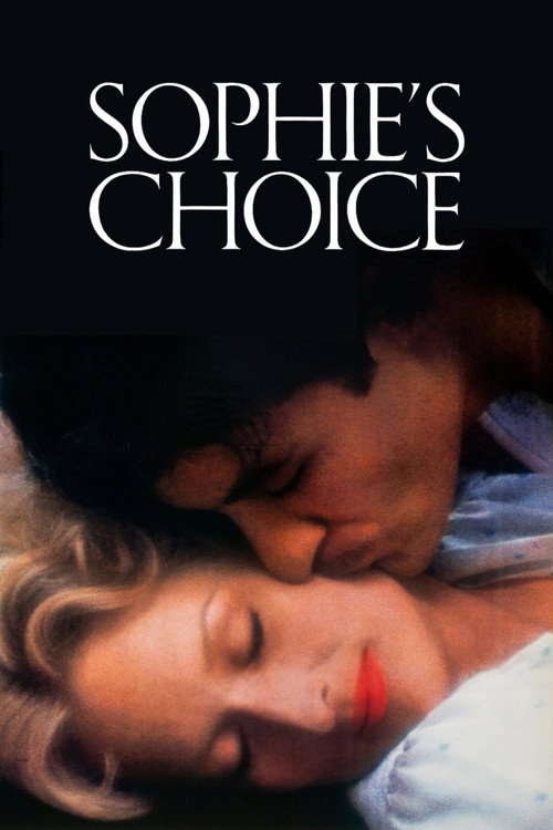 پوستر Sophie's Choice