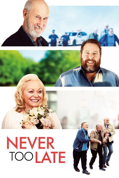 پوستر Never Too Late