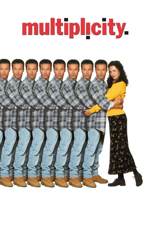 پوستر Multiplicity
