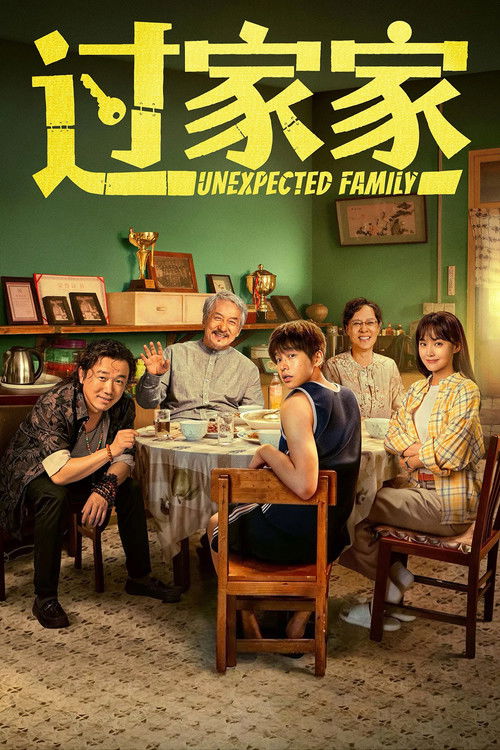 پوستر Unexpected Family