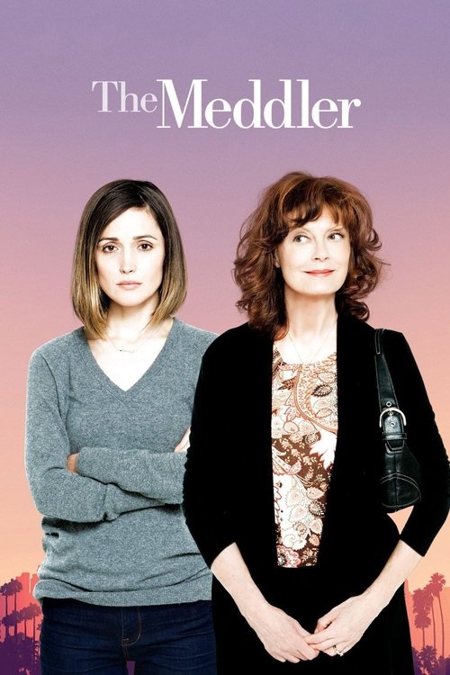 پوستر The Meddler