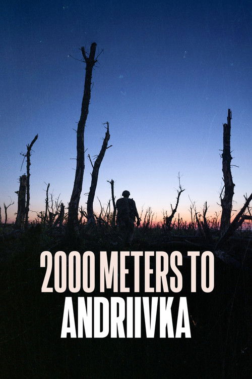 پوستر 2000 Meters to Andriivka