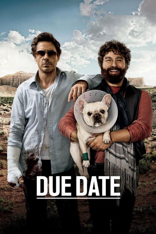 پوستر Due Date