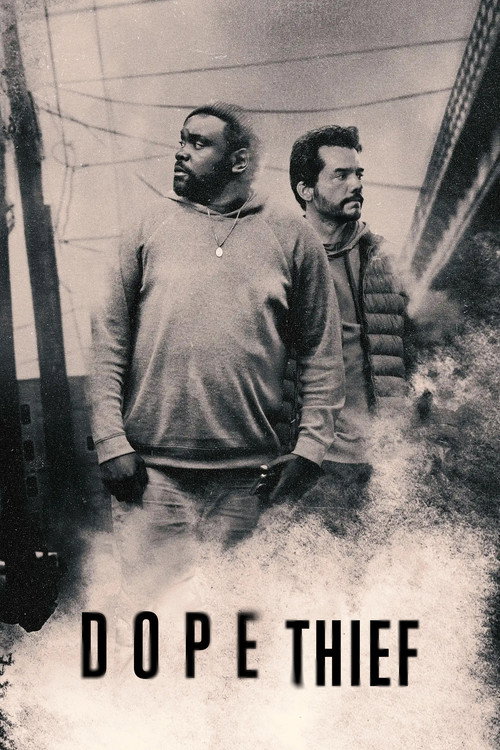 پوستر Dope Thief