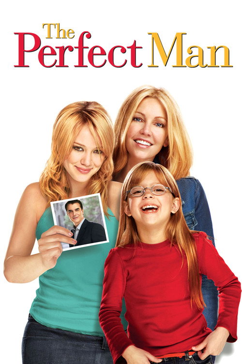 پوستر The Perfect Man