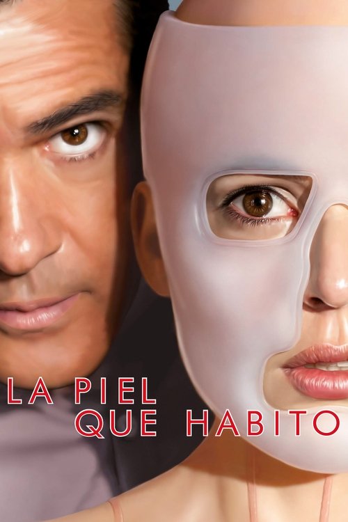 پوستر La piel que habito