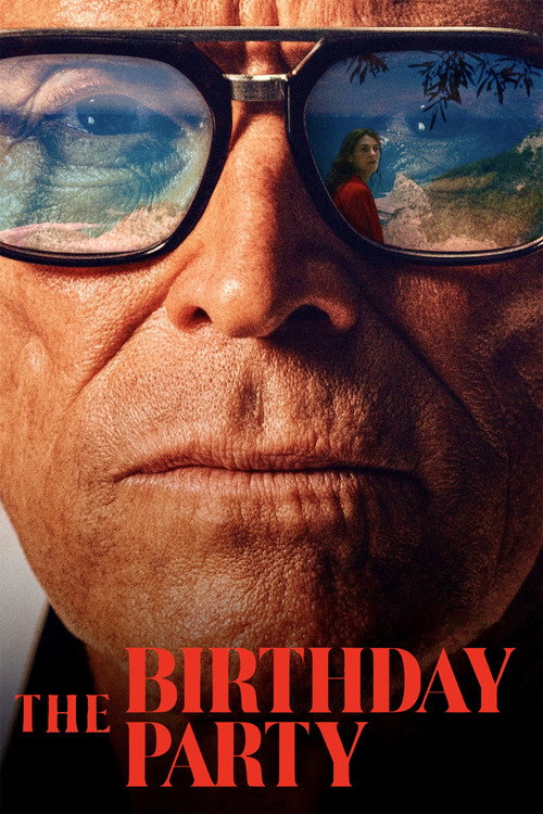 پوستر The Birthday Party