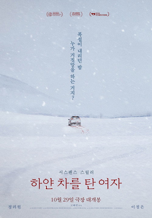 پوستر The Woman in the White Car