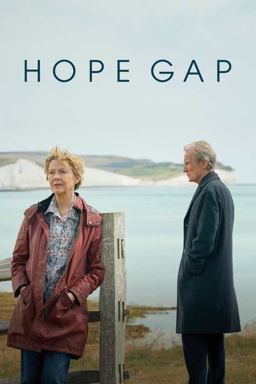 پوستر Hope Gap