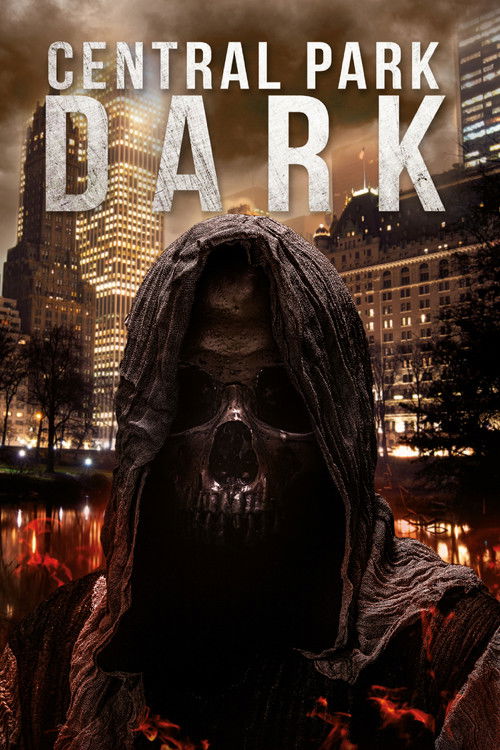 پوستر Central Park Dark