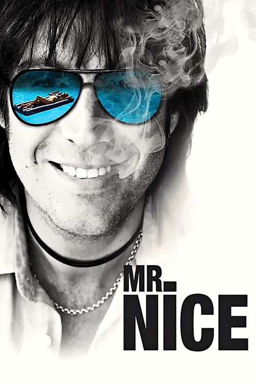 پوستر Mr. Nice