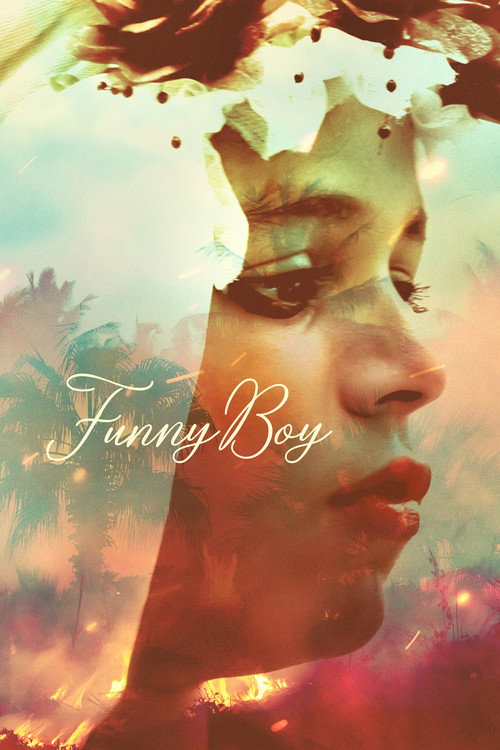 پوستر Funny Boy