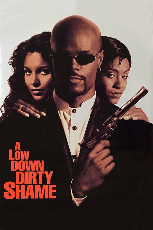 پوستر A Low Down Dirty Shame