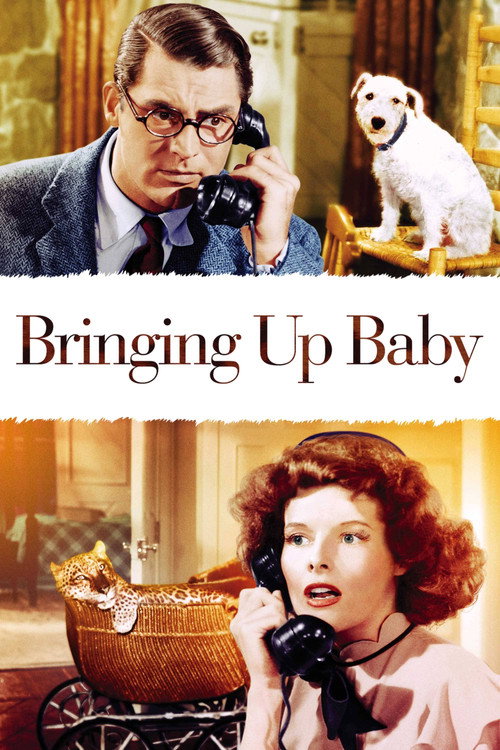 پوستر Bringing Up Baby