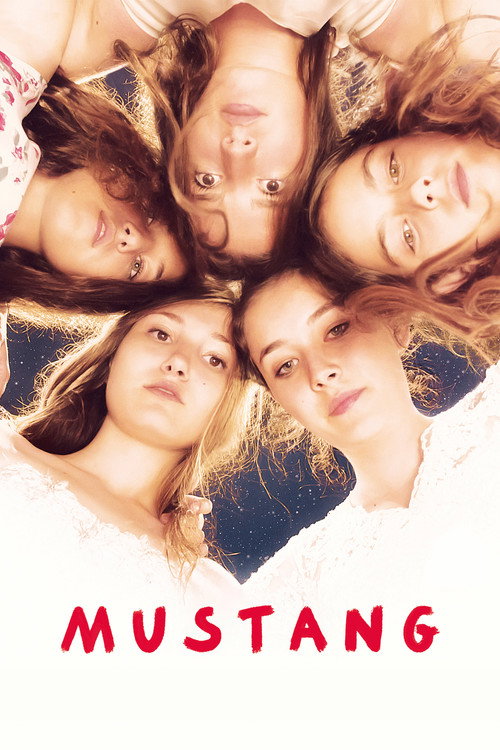 پوستر Mustang