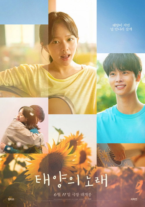 پوستر Midnight Sun