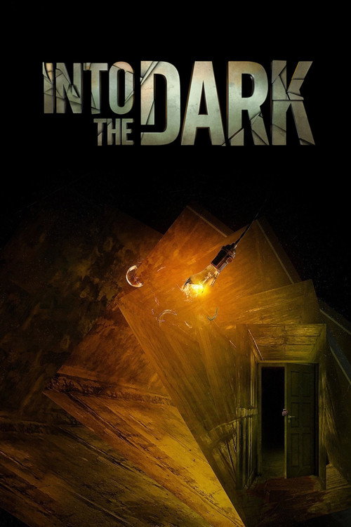 پوستر Into the Dark