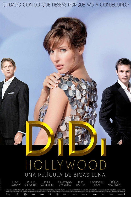 پوستر DiDi Hollywood