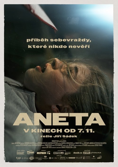 پوستر Aneta