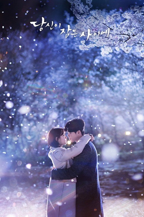 پوستر While You Were Sleeping