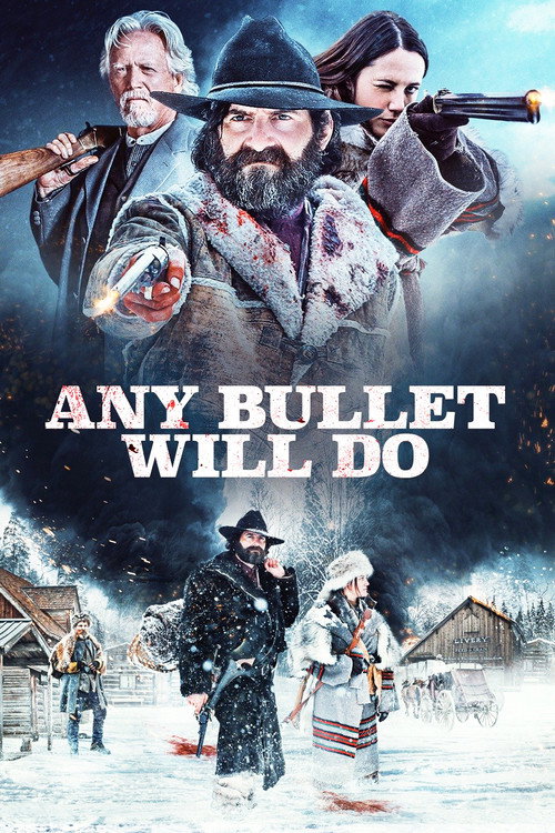 پوستر Any Bullet Will Do