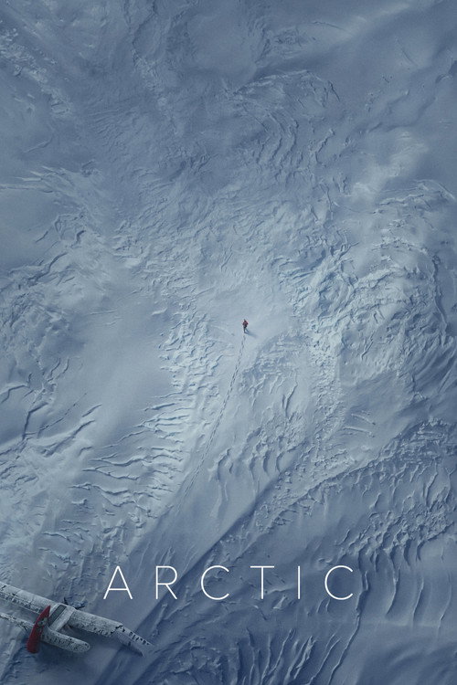 پوستر Arctic