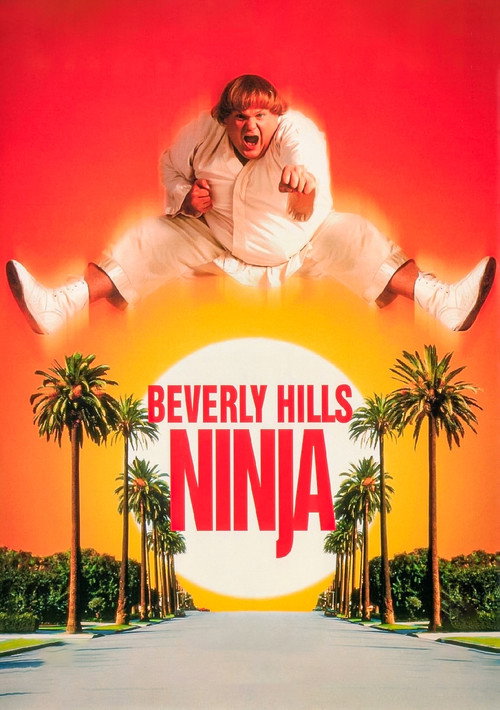 پوستر Beverly Hills Ninja